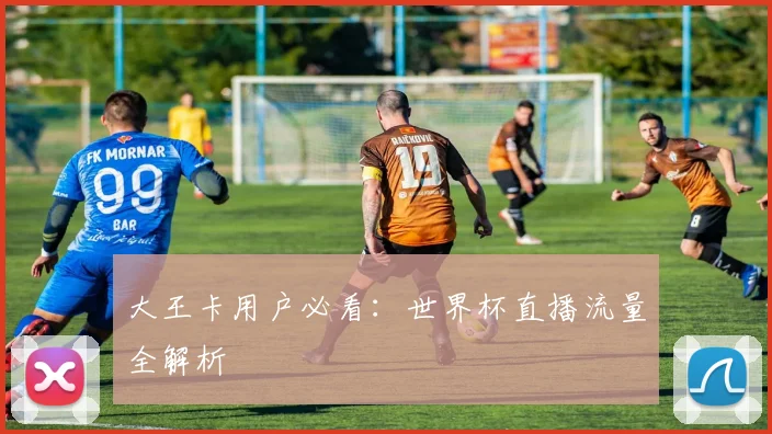 大王卡用户必看:世界杯直播流量全解析