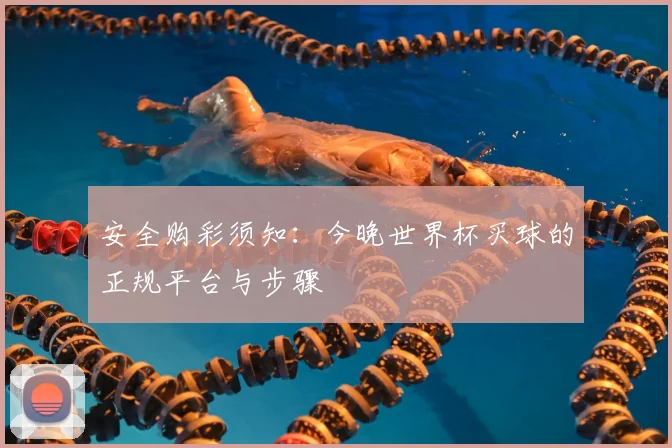 安全购彩须知：今晚世界杯买球的正规平台与步骤