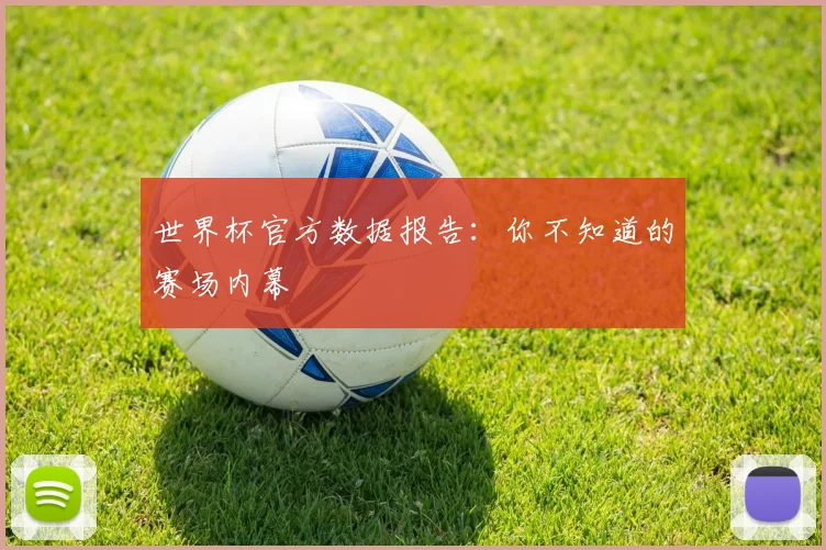 世界杯官方数据报告：你不知道的赛场内幕