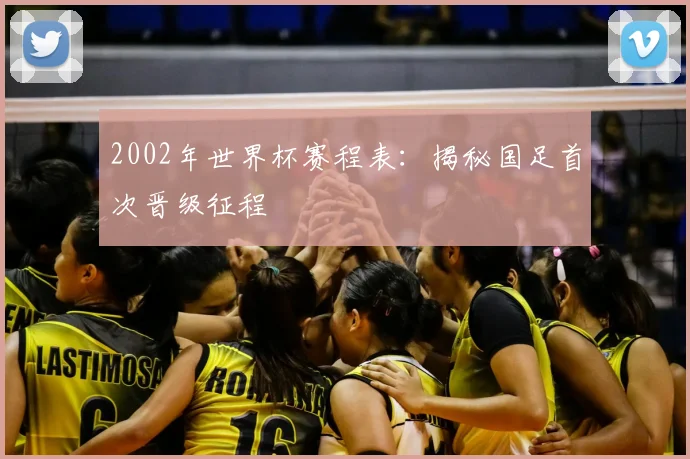 2002年世界杯赛程表：揭秘国足首次晋级征程