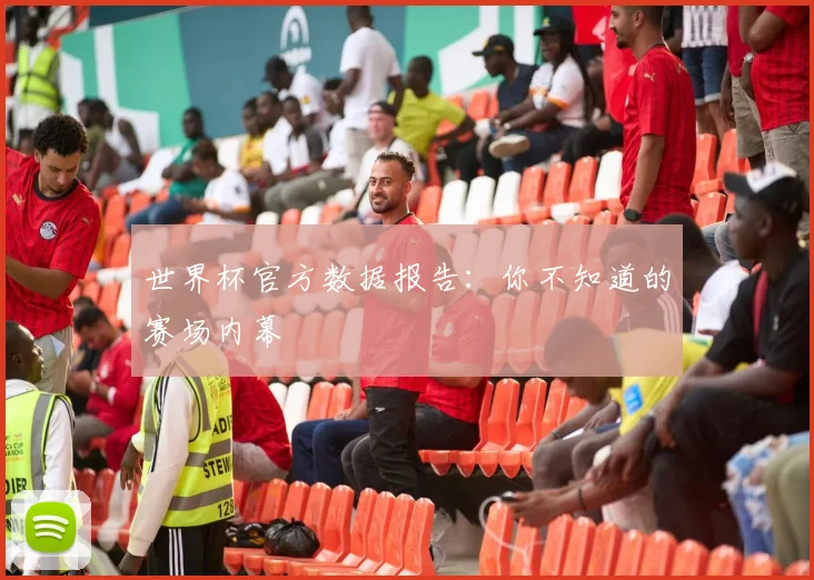 世界杯官方数据报告：你不知道的赛场内幕